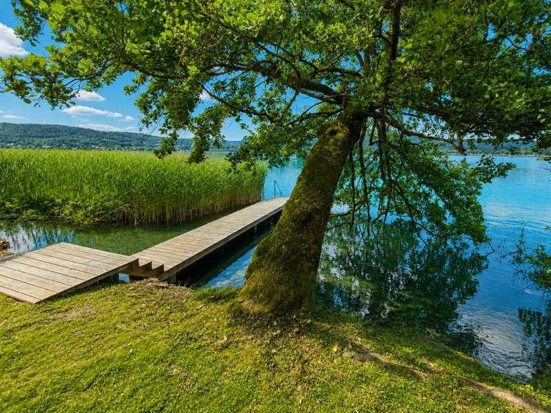 Idyllischer Rasenbereich mit altem Baum und Holzsteg, der ins klare Seewasser führt.