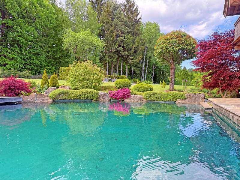 Naturnaher Poolbereich im weitläufigen Garten, umgeben von üppiger Vegetation und hohen Bäumen.