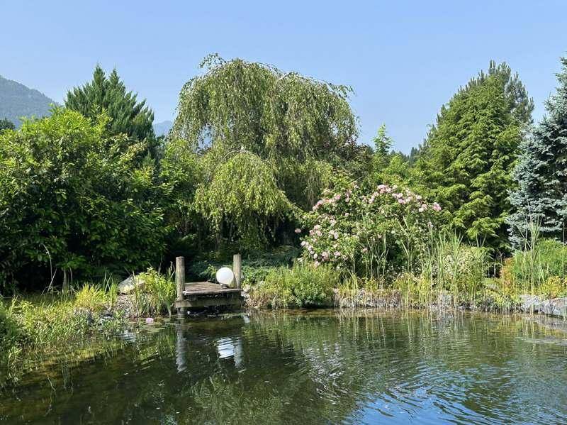 Schwimmteich