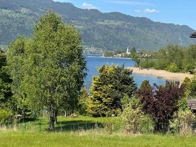 Faszinierender Seebaugrund am Ossiacher See - Widok 3