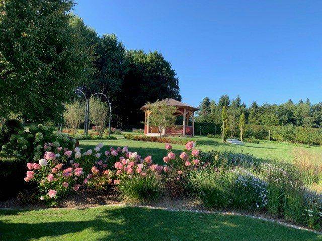 Blühender Gartenbereich mit rosa Hortensien und einem Pavillon im Hintergrund unter klarem Himmel.