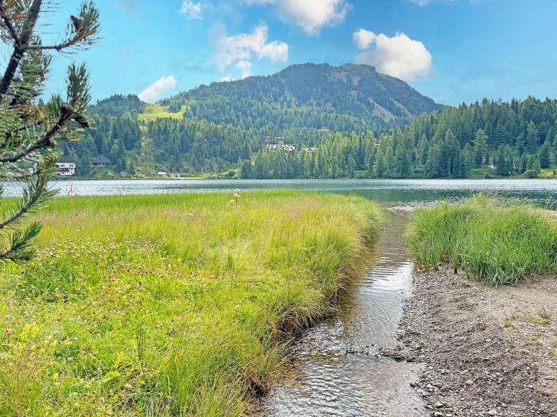 Ein kleiner Bach mündet in einen See, umgeben von üppigem Grün und Bergen im Hintergrund.