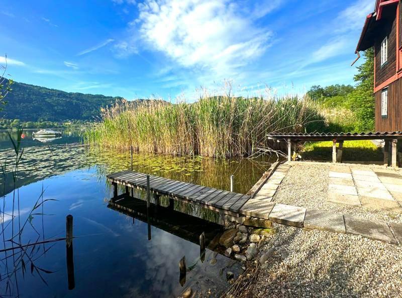 Sommerliche Ansicht des Seeufers mit einem Holzsteg, Schilf und dem Haus im Hintergrund unter blauem Himmel.