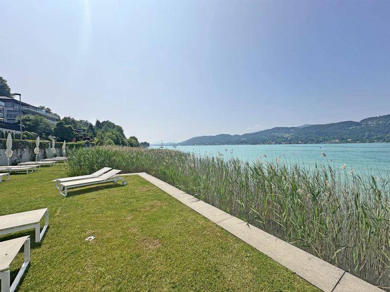 Gepflegte Rasenfläche mit Sonnenliegen direkt am Seeufer, umgeben von Schilf und Natur.