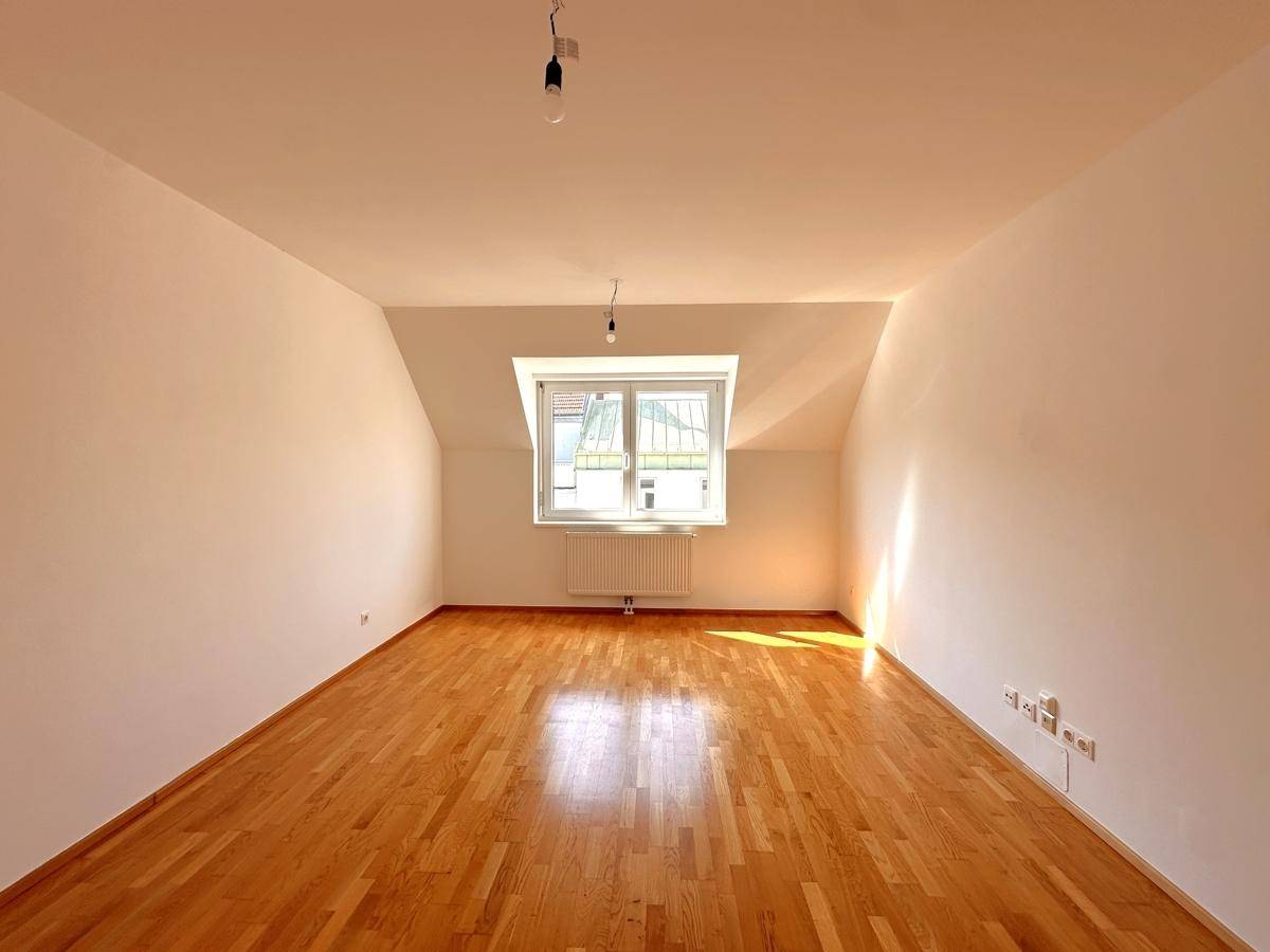Zimmer1-1