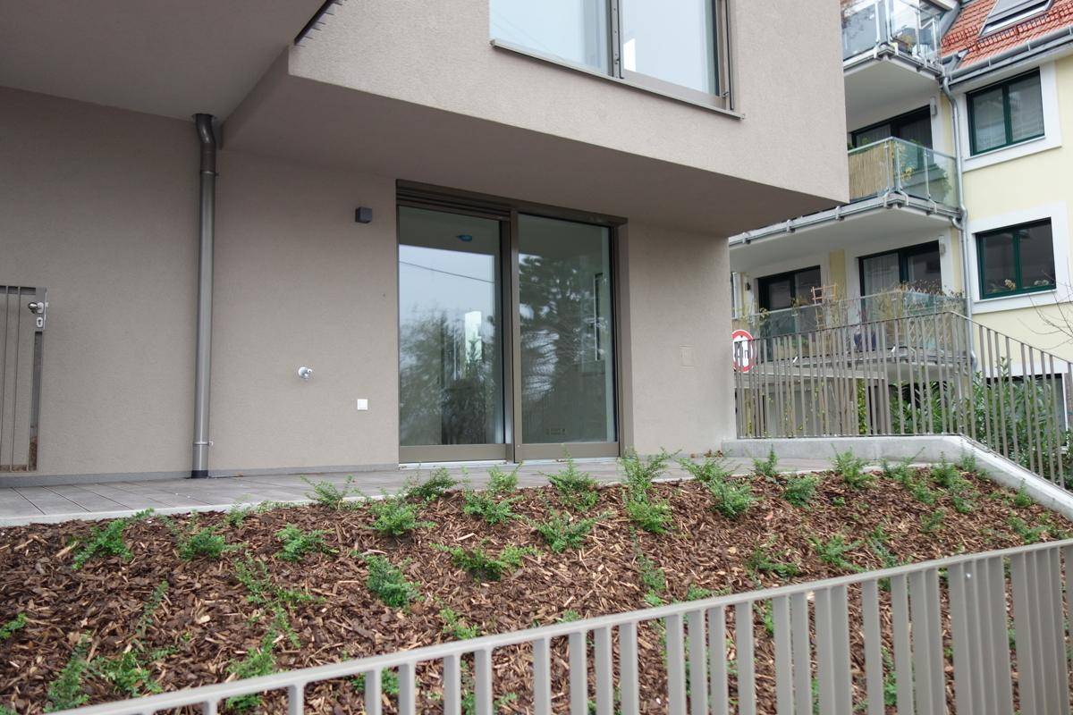Kleiner Gartenbereich mit jungen Pflanzen und Zugang zu einer Terrasse am Gebäude.