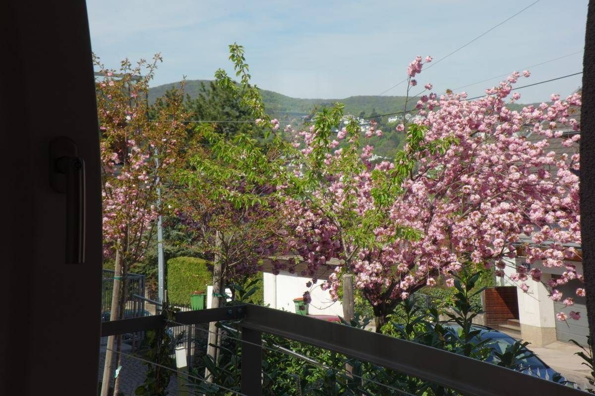 Panoramablick von einem Balkon auf blühende Bäume und eine grüne Hügellandschaft.