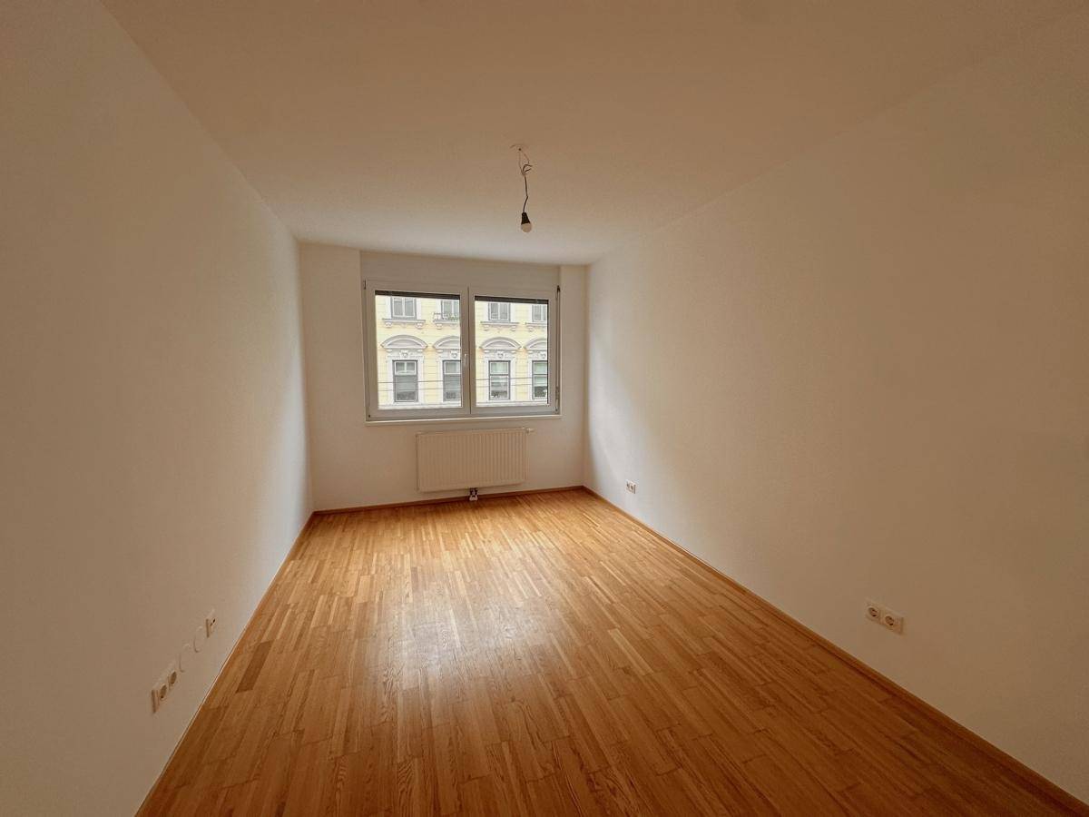 Zimmer1-1