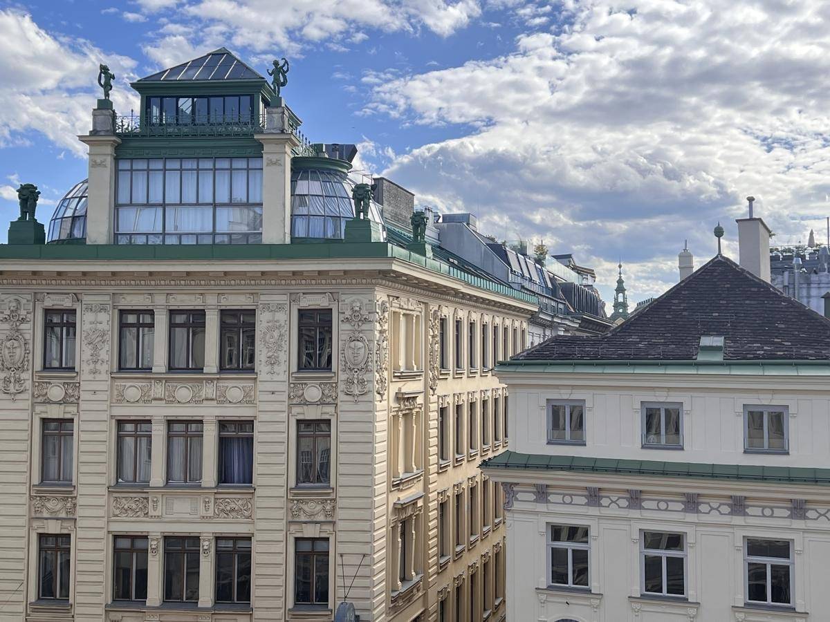 Ansicht der oberen Stockwerke und Dächer historischer Gebäude mit kunstvollen Details unter bewölktem Himmel.