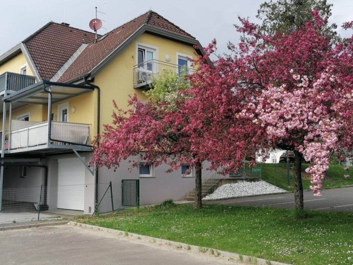 Slide 12