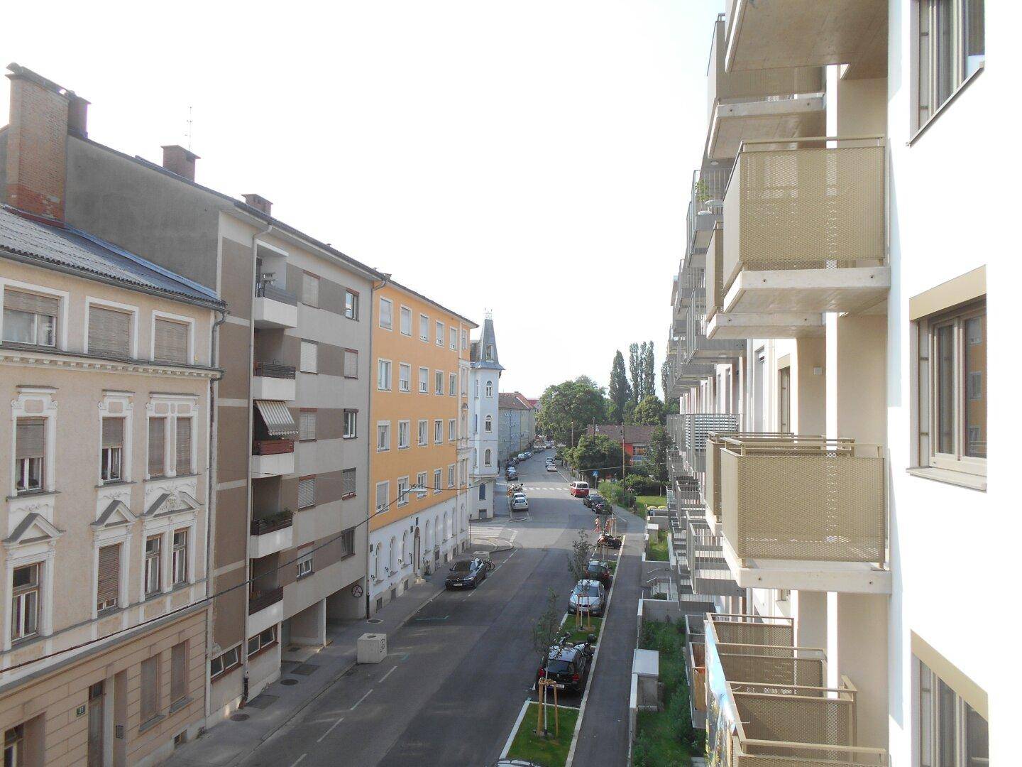 Slide 5