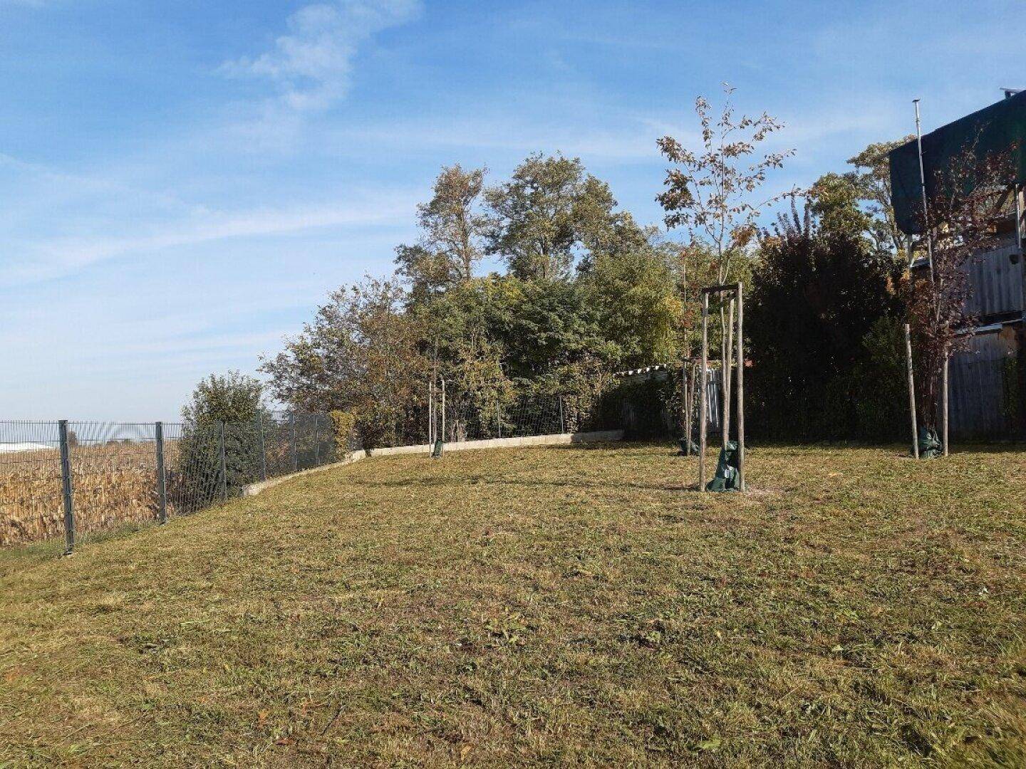 Slide 9