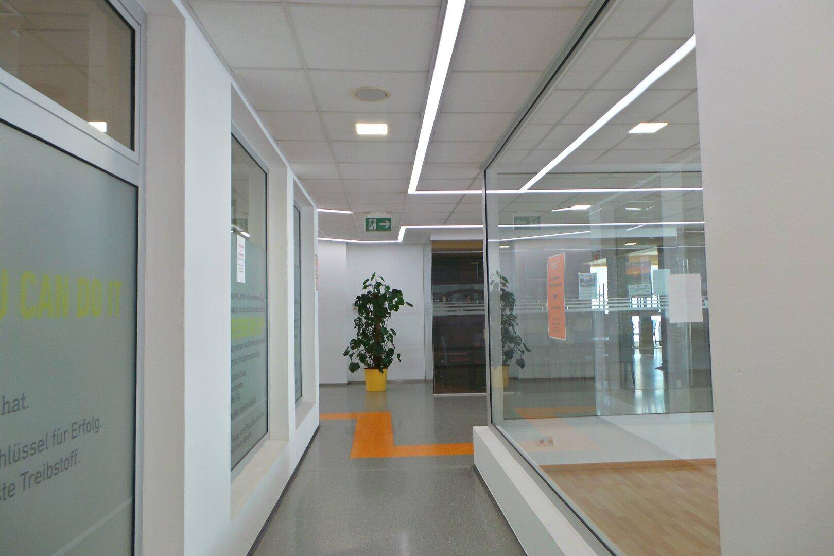 Heller Flur mit modernen Glaswänden, Pflanzen und einem orangefarbenen Akzentstreifen auf dem Boden.