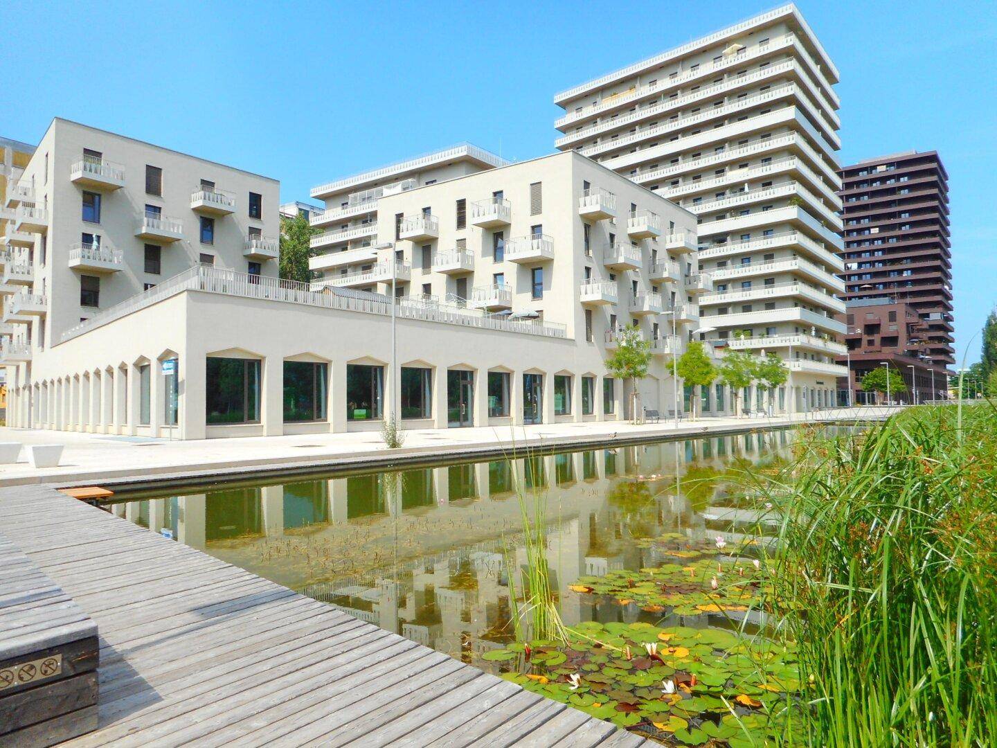 Bestlage Reininghaus Q5 am PARK repräsentatives Geschäftslokal, vielseitig nutzbar - Ansicht 4