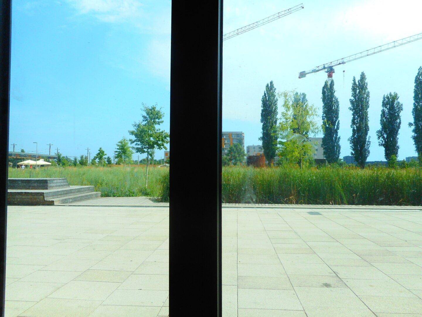 Blick aus einem großen Fenster auf eine gepflasterte Fläche, Grünflächen und Baukräne in der Ferne.