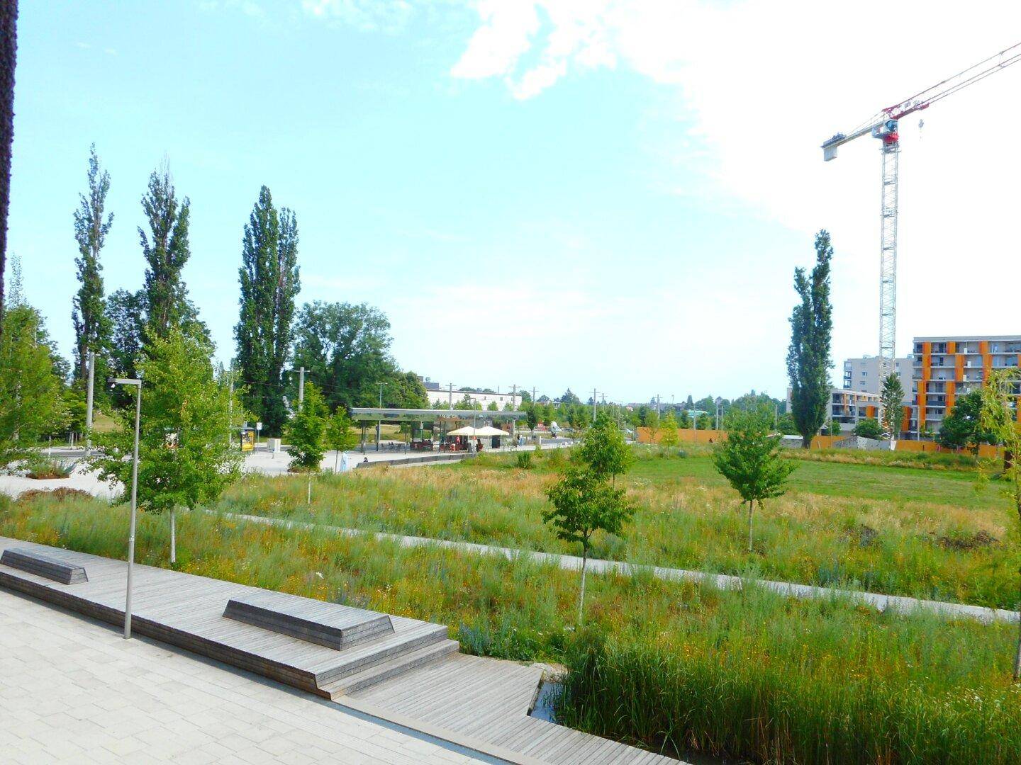 Panoramablick auf eine weitläufige Parklandschaft mit Wegen, Sitzgelegenheiten und einem Baukran am Horizont.