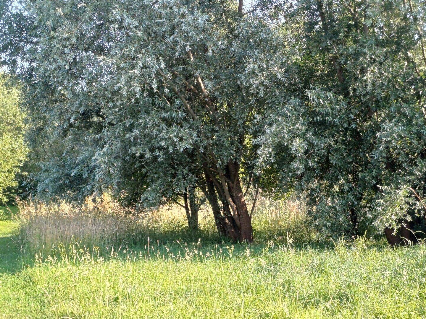 Slide 8