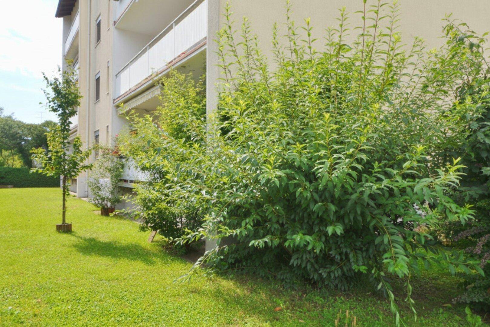 Zentrale Stadtlage,sanierte 3ZI+Balkon,Carport, Allg.Garten, Spielplatz - Ansicht 2