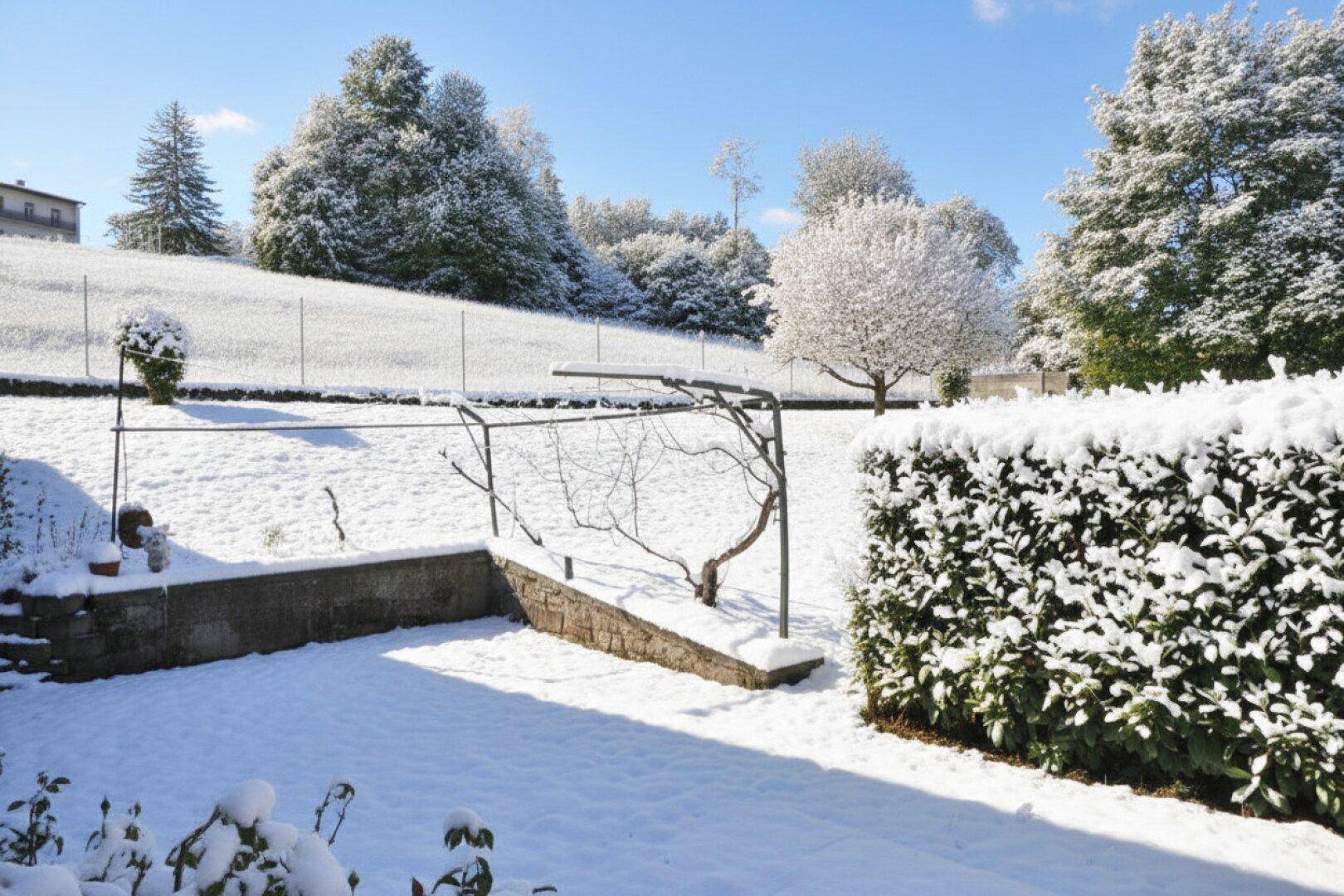 Sonniger, schneebedeckter Gartenbereich mit Hecke und Bäumen im Hintergrund.