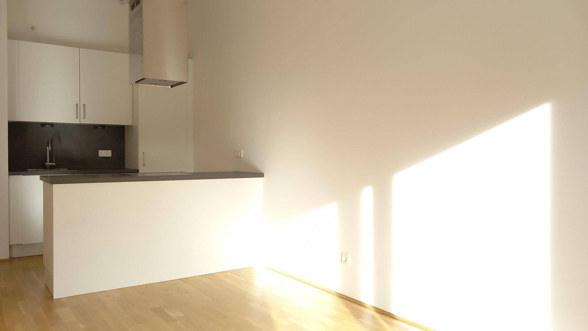 Moderne Küchenzeile mit Theke und viel Tageslicht, die sich in den offenen Wohnbereich integriert.