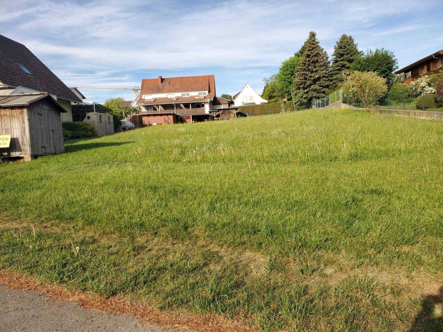 Sonniges Grundstück mit Grasfläche, umgeben von Bäumen und benachbarten Gebäuden.