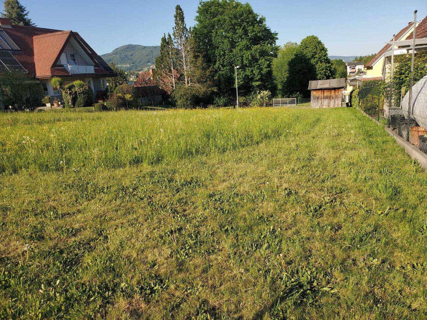 Großzügiges Wiesengrundstück mit angrenzenden Häusern und einem kleinen Schuppen im Hintergrund.