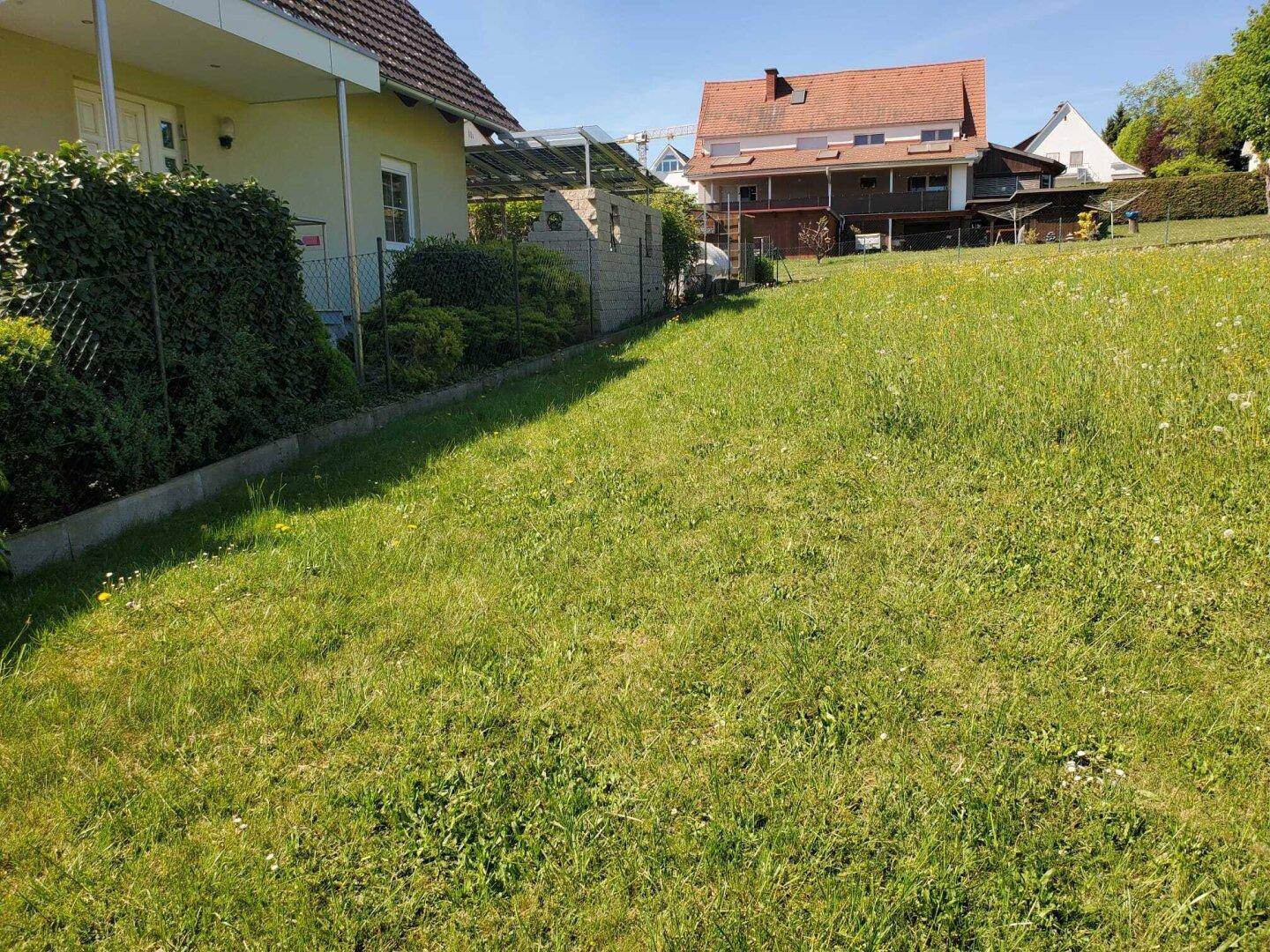 Grünes Grundstück neben einem Wohnhaus mit Hecke und Zaun unter klarem Himmel.