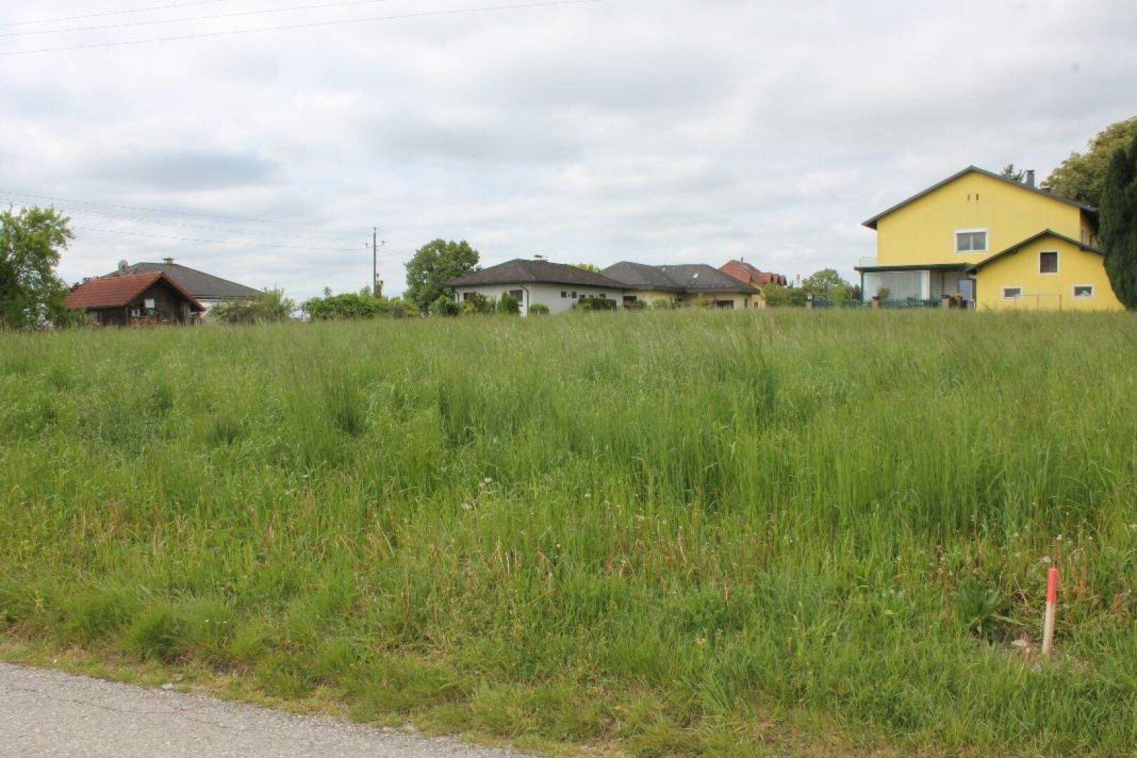 Baugrundstück - 1.073m² - Bauträger geeignet Oftering, Kirchstetten - Ansicht 2