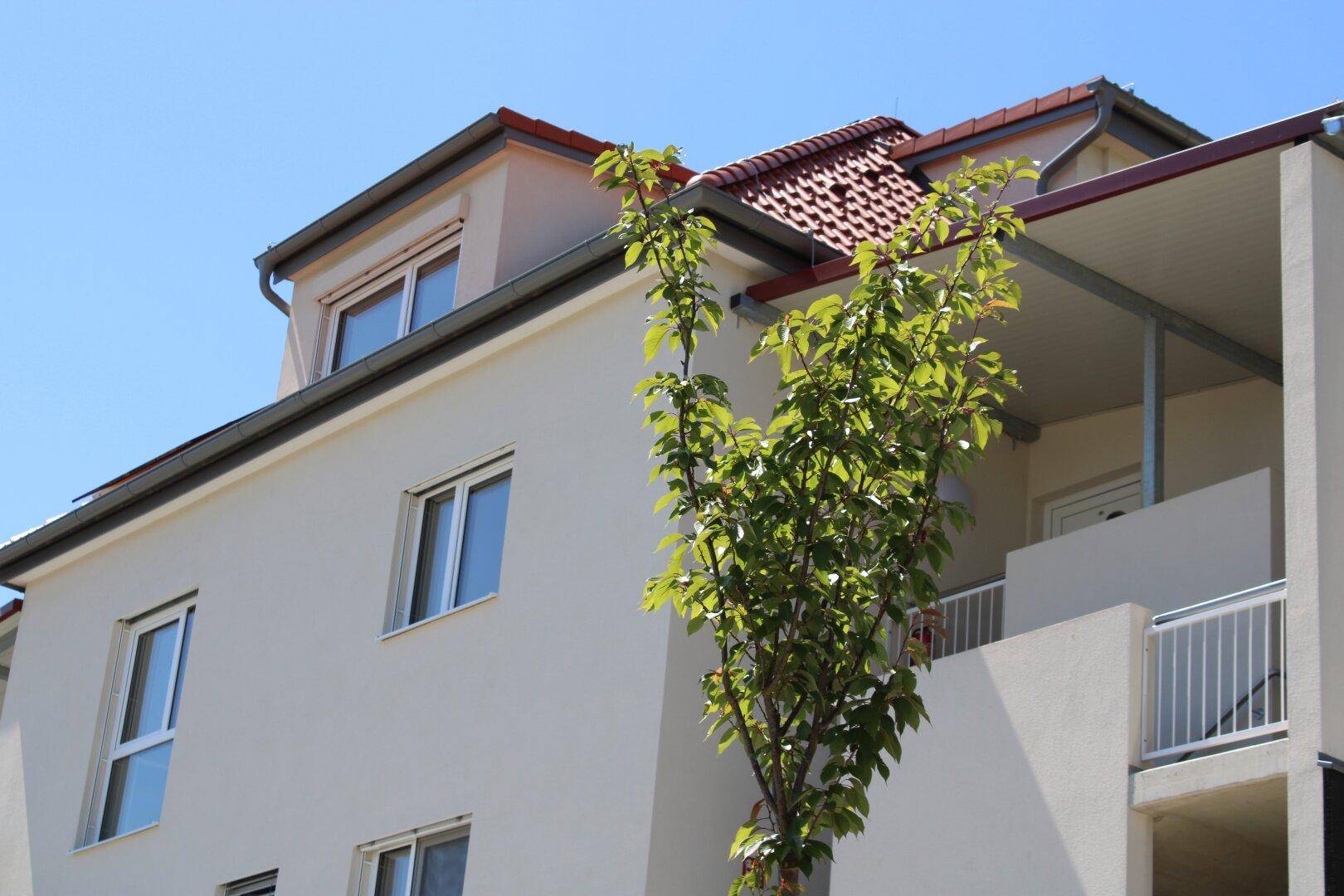 Fassade eines modernen Gebäudes mit Balkon und einem jungen Baum im Vordergrund.