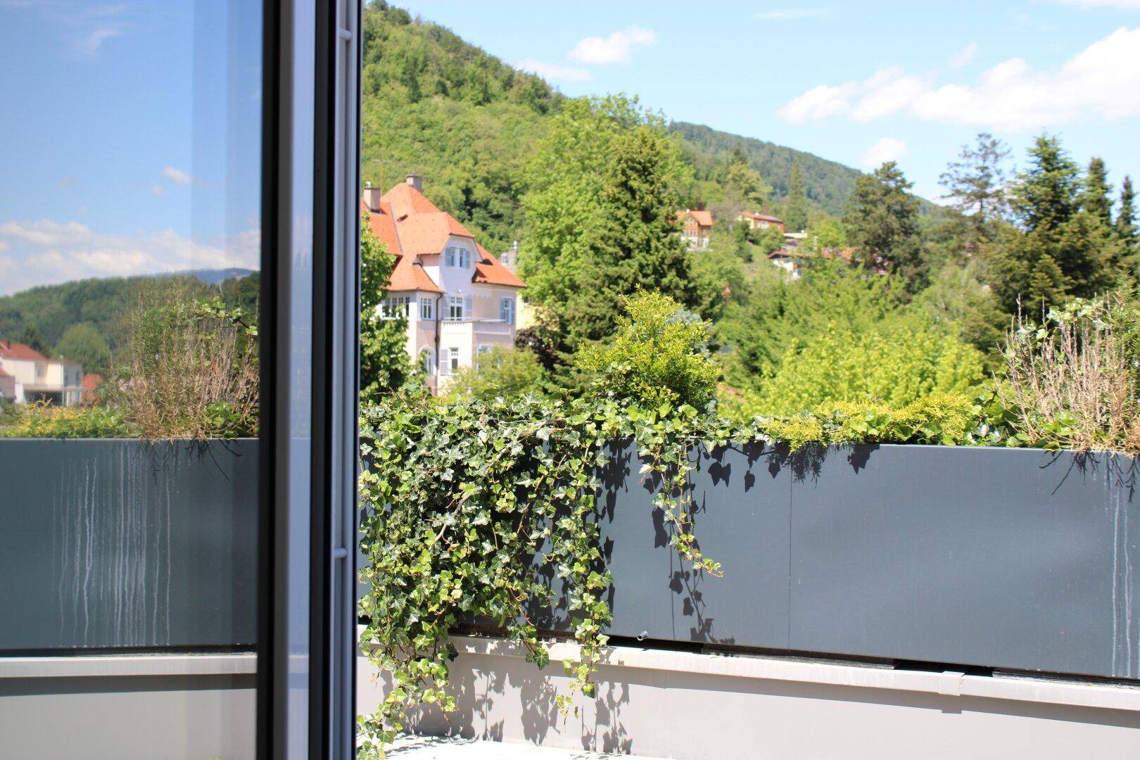 Balkon mit Pflanzen und einem schönen Ausblick auf die grüne Umgebung und Häuser.