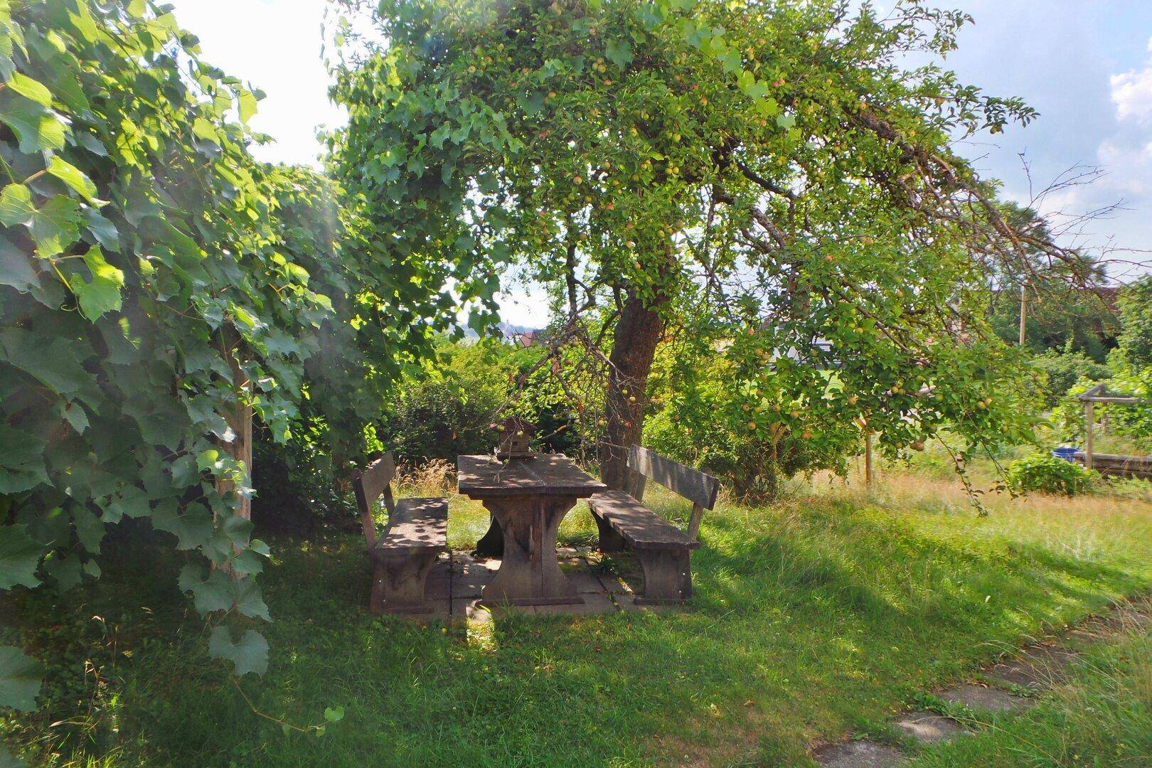 Rustikaler Holztisch mit Bänken unter einem großen Baum im grünen Garten.