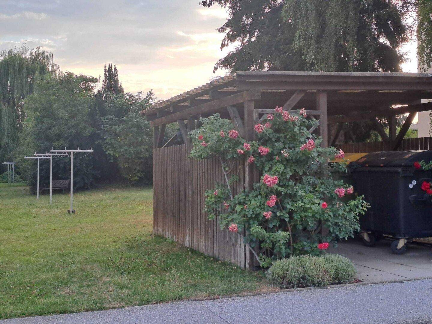 Gemeinschaftsgartenbereich mit Wäscheleinen, Rosenbüschen und einem überdachten Unterstand für Mülltonnen.
