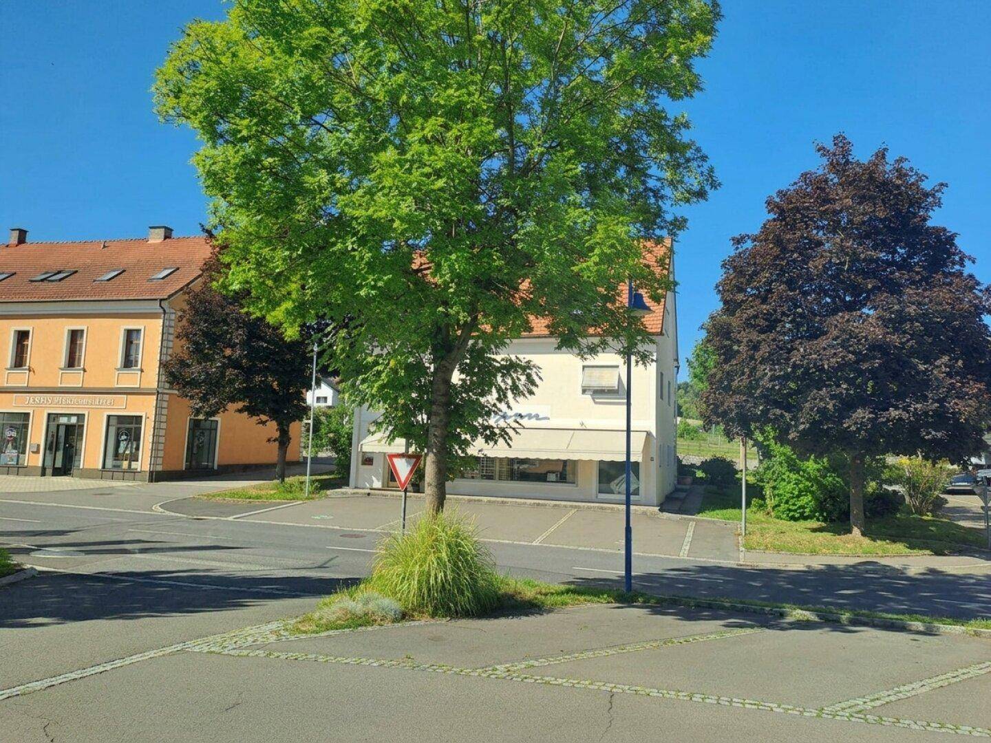 Straßenansicht mit Bäumen, historischen Gebäuden und einem modernen Geschäftshaus.