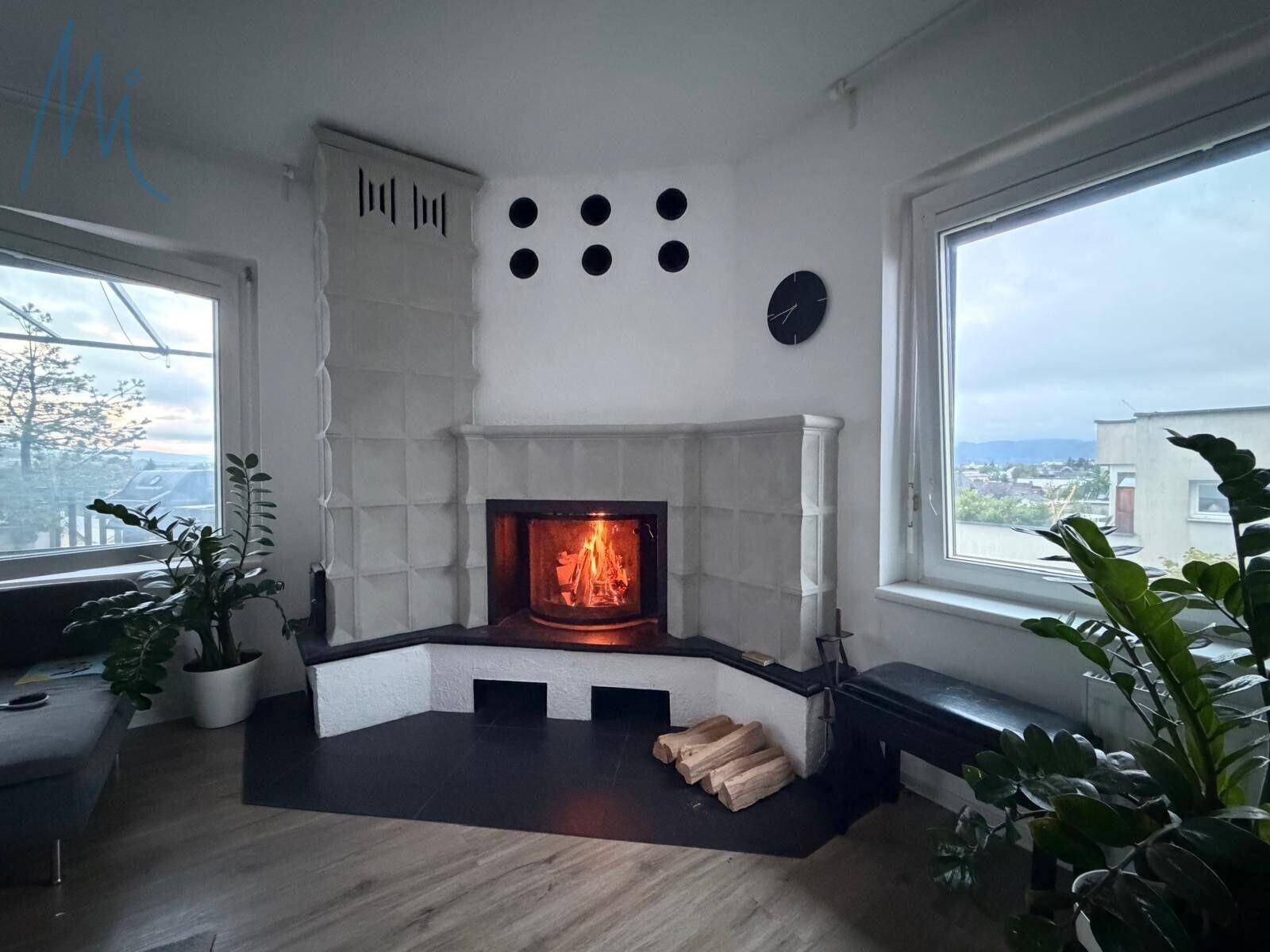 boro, kamin1