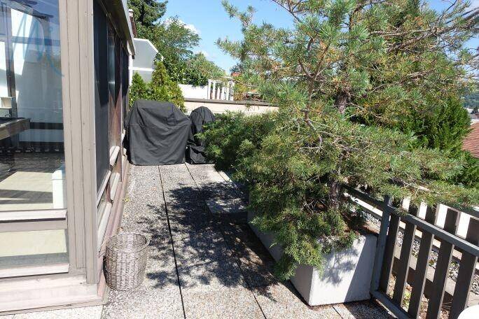 boro, terrasse2