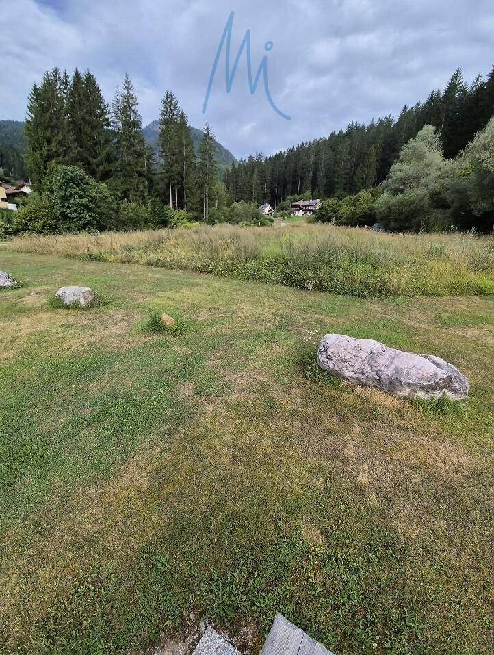 Nahaufnahme einer grünen Wiese mit Felsen, die sich zu einem Wald und Bergen im Hintergrund erstreckt.