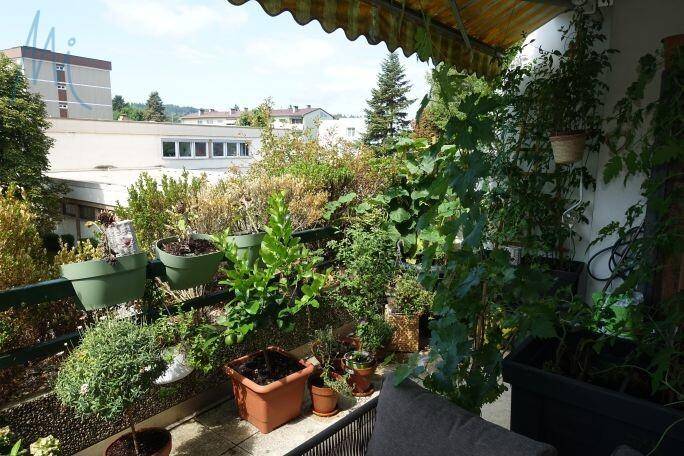fesch74, terrasse
