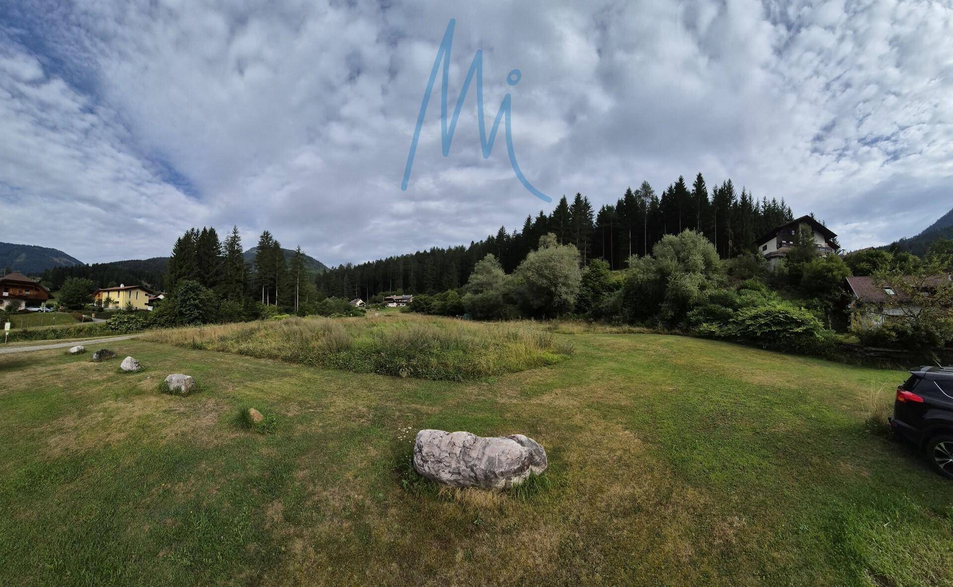 Grüne Wiese mit großen Felsen, umgeben von Bäumen und einer Berglandschaft unter bewölktem Himmel.