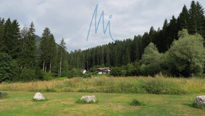 Weitläufige grüne Wiese mit Felsen, die zu einem dichten Wald und einem Haus in der Ferne führt.