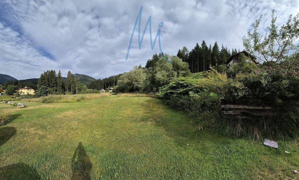 Weitläufige grüne Wiese mit Bäumen und Bergen im Hintergrund unter einem bewölkten Himmel.