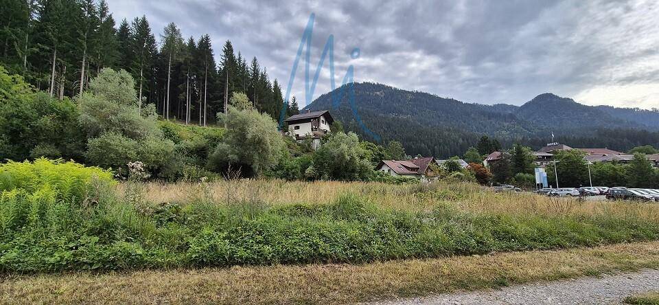 Blick über ein Feld mit hohem Gras auf Häuser, Bäume und eine Bergkette mit einem Parkplatz am Rand.