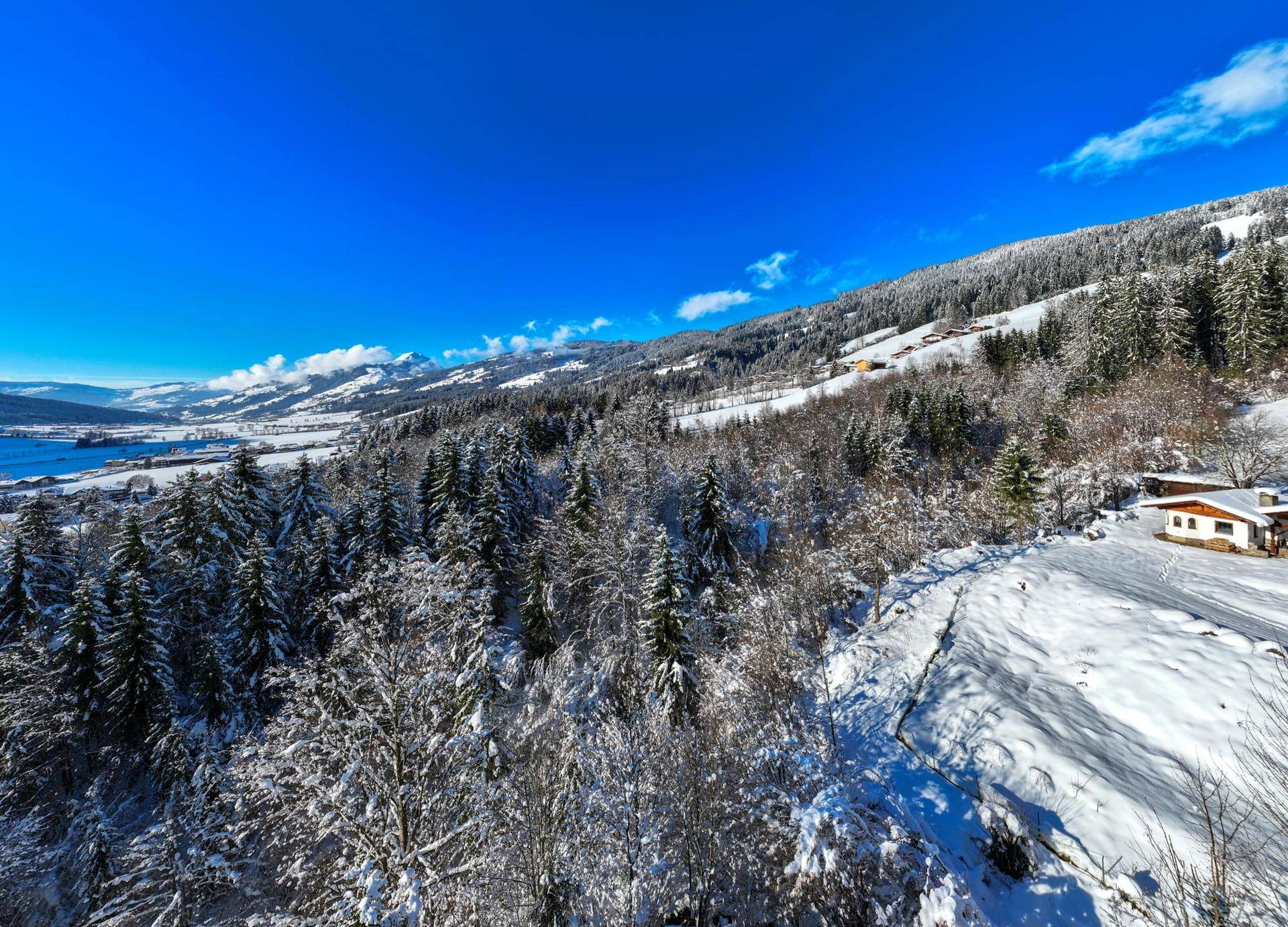 Weitläufige Winterlandschaft mit schneebedeckten Bäumen und einem kleinen Haus unter blauem Himmel.