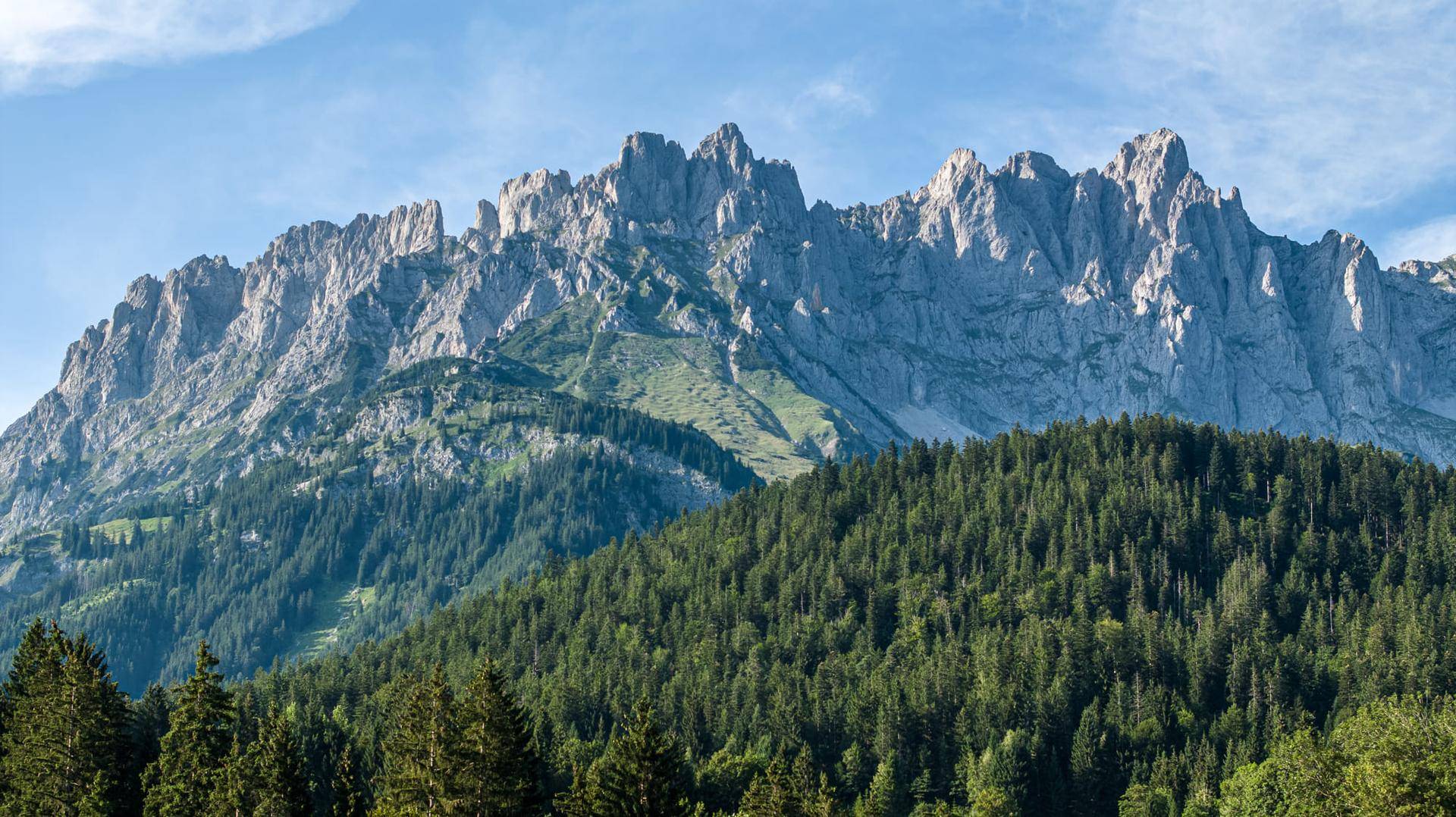 Majestätische Bergkette mit schroffen Gipfeln und dichten Nadelwäldern unter einem klaren blauen Himmel.