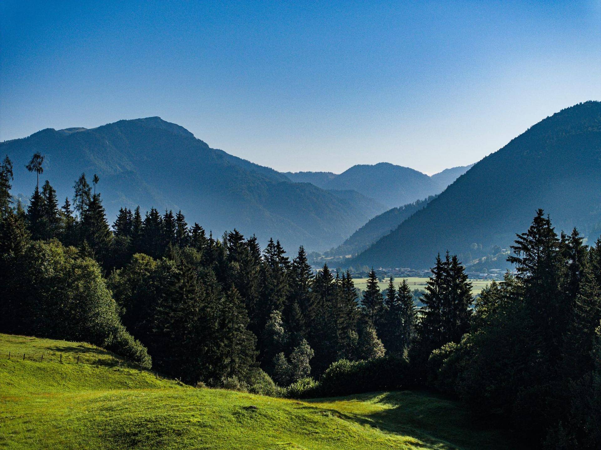 Malerische Berglandschaft mit dichten Wäldern und einem Tal im Dunst des Morgens.