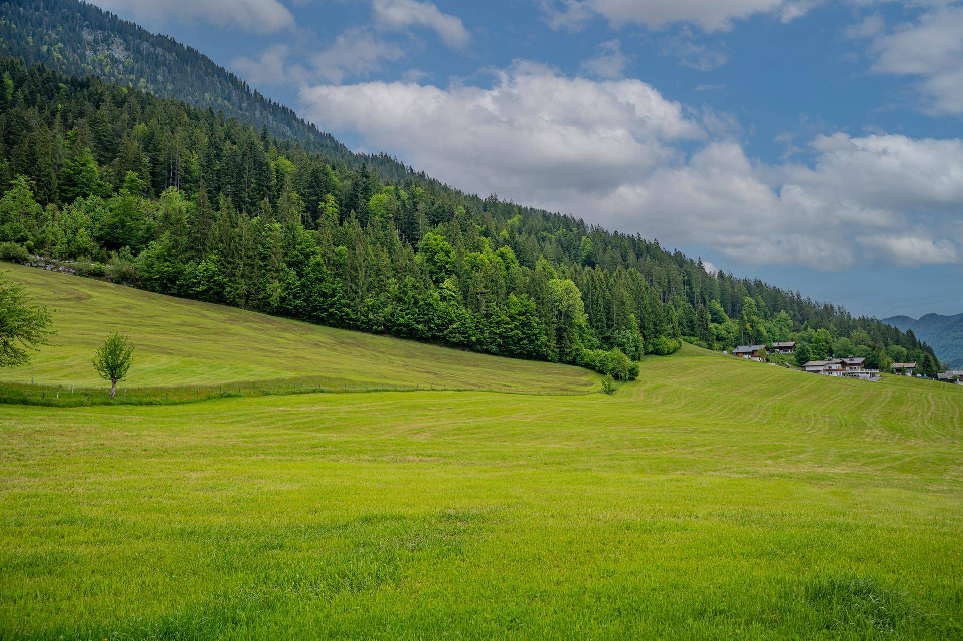 _DSC3683-Edit
