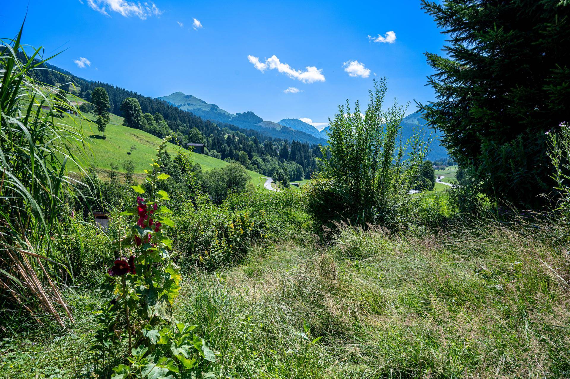 DSC_4167-HDR