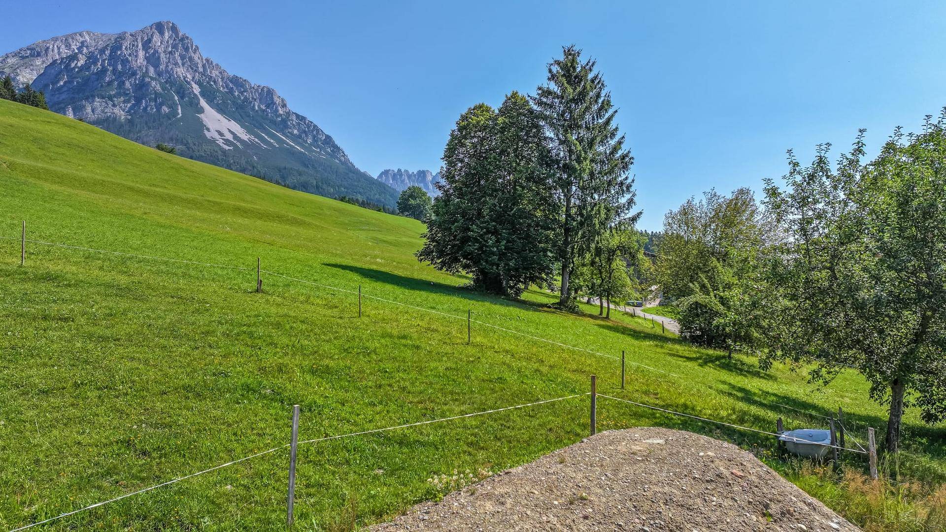 Grüne Wiesenlandschaft mit beeindruckendem Bergmassiv im Hintergrund und vereinzelten Bäumen.