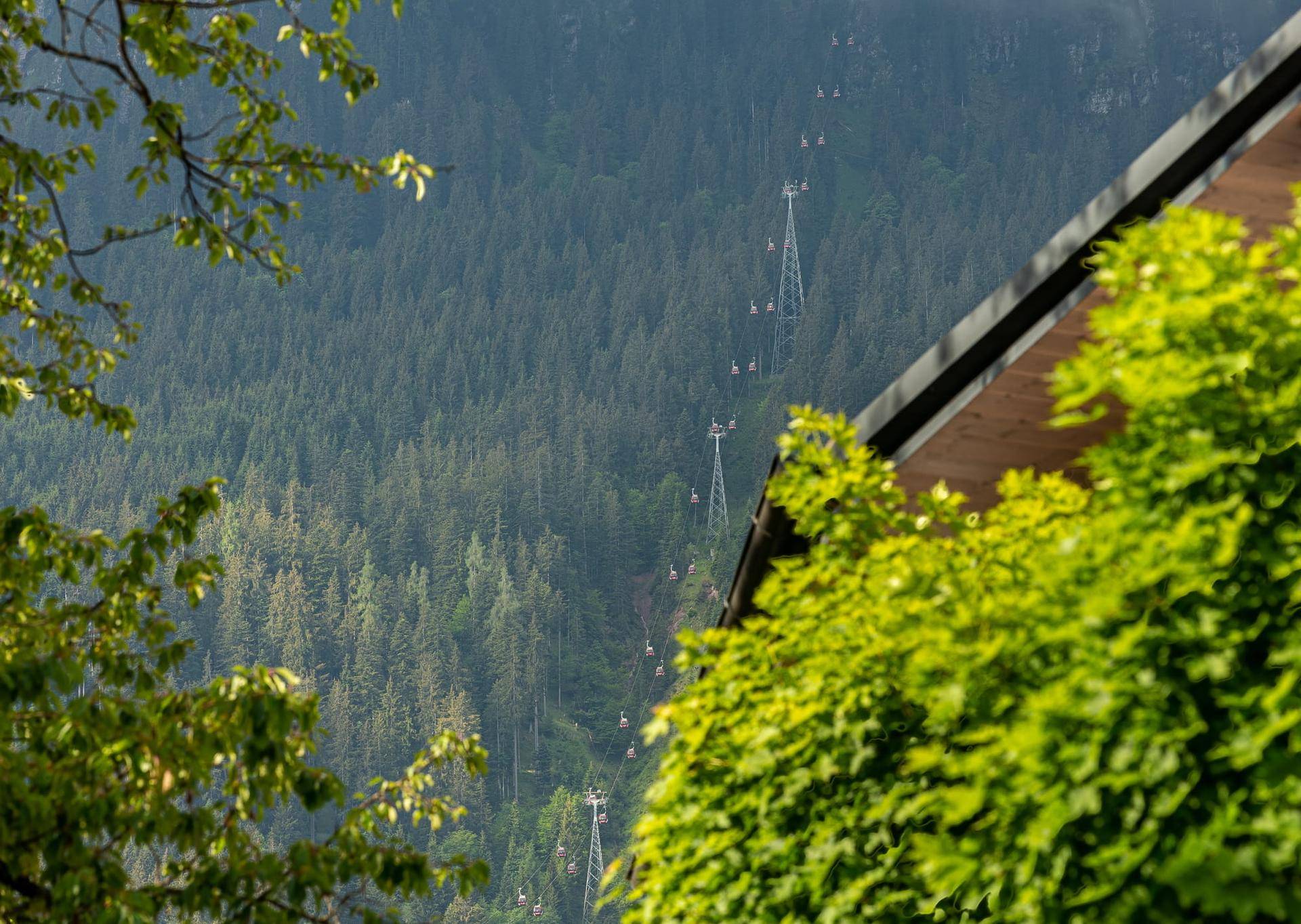 Malerischer Blick auf bewaldete Berge mit einer Seilbahn, umrahmt von üppigem Grün.