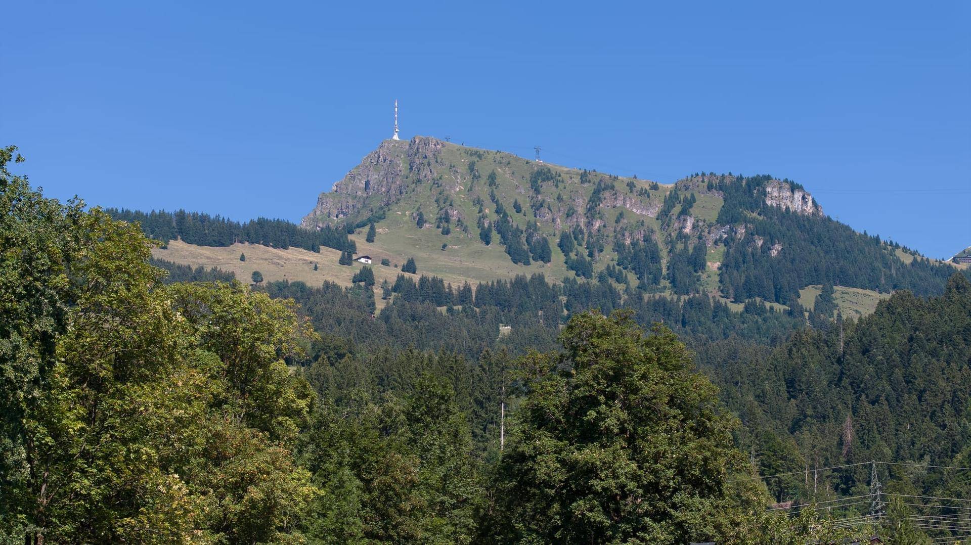 Grüner Berggipfel mit Sendemast und bewaldeten Hängen unter einem strahlend blauen Himmel.