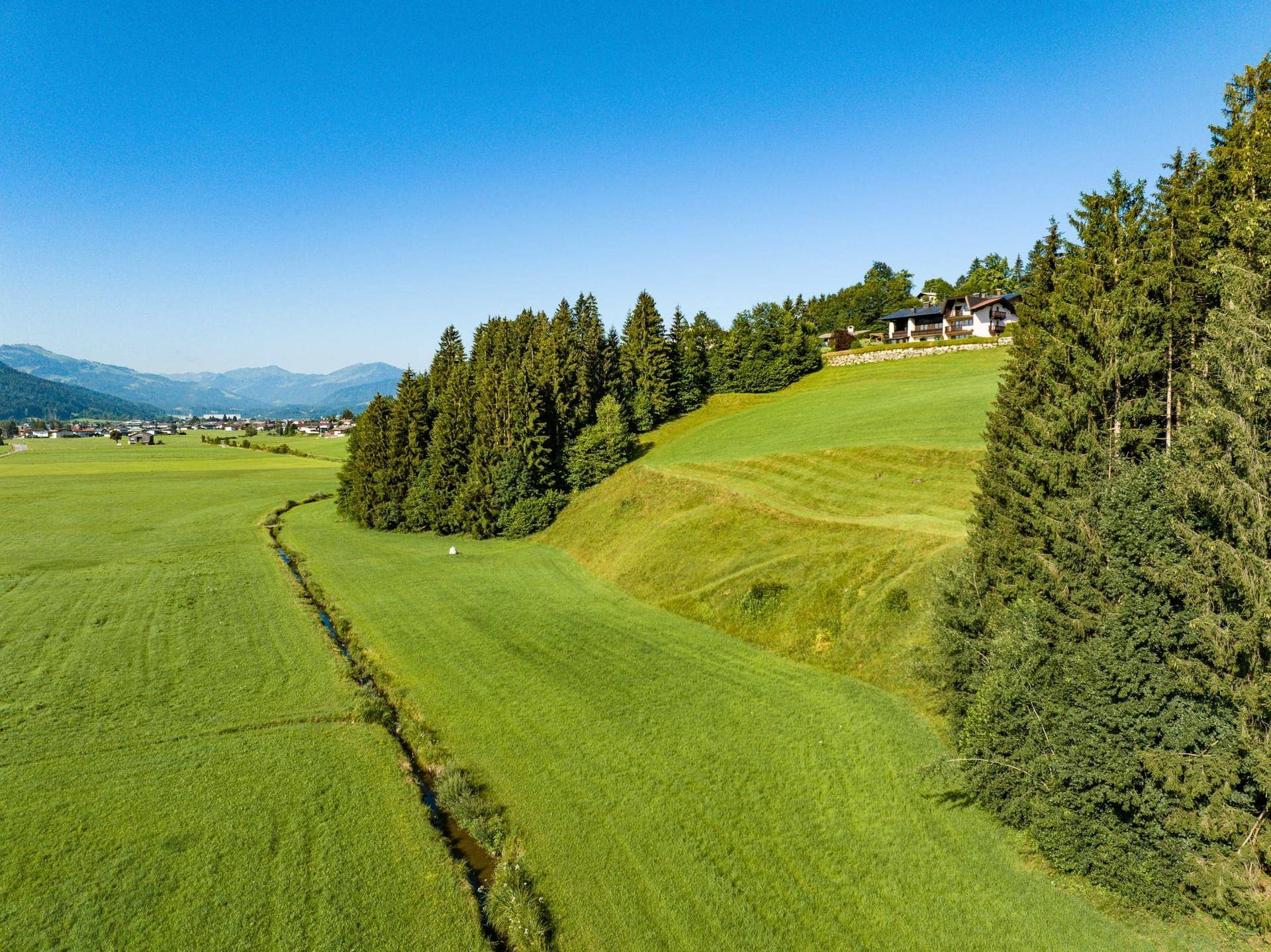 Weitläufige grüne Wiesen und Wälder mit einem Bachlauf und Bergen im Hintergrund.